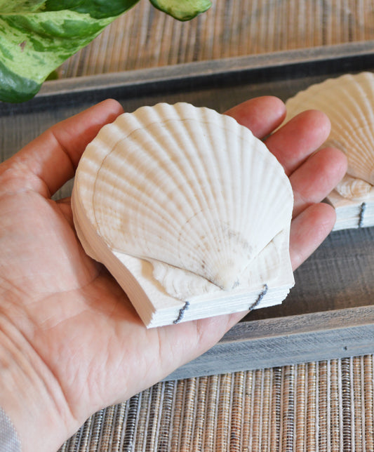 Genuine seashell scallop shell art journal / Blank watercolor paper sketchbook